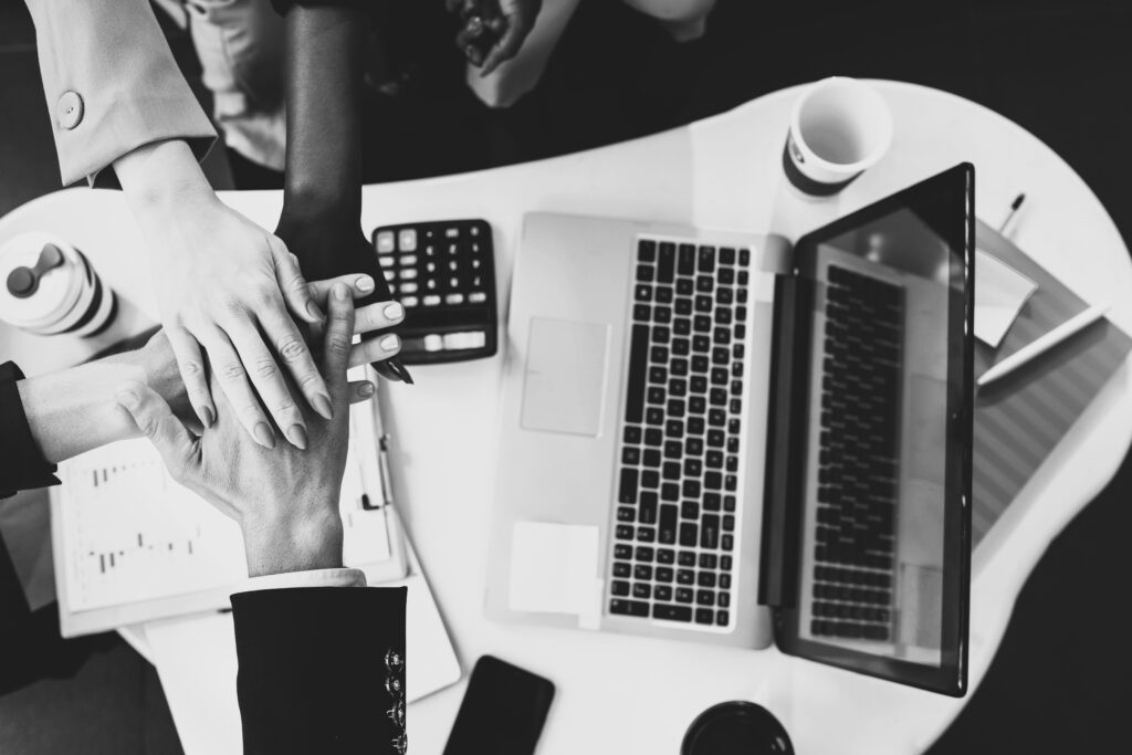trabajo consultoria equipo bnw