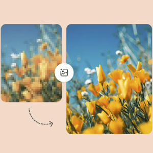 Comparación de calidad de imagen.